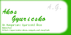 akos gyuricsko business card